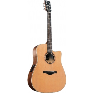 AW250ECE-LG