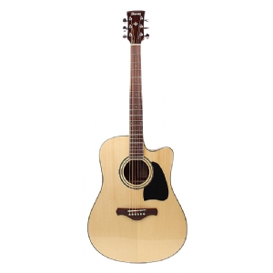 AW100CE-NT