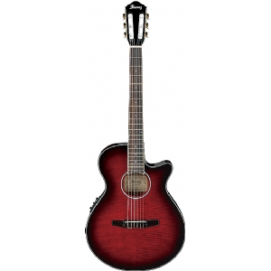 AEG24NII-THS