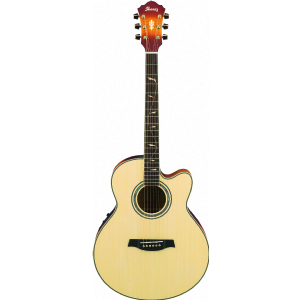 AEL40SE-RLV