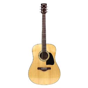 AW100-NT