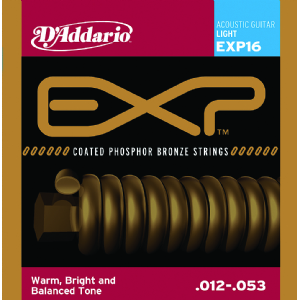 EXP™Ϳ ͭ
