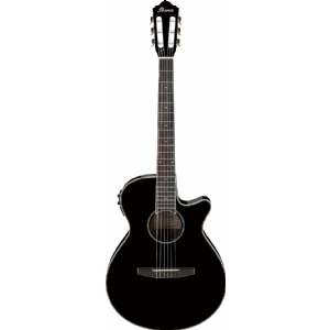 AEG10NII-BK