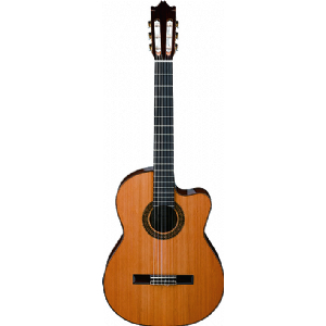 G300CE-NT