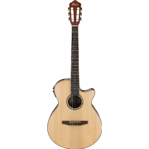 AEG10NII-NT