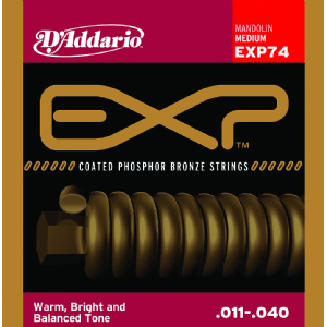 EXP™Ϳ